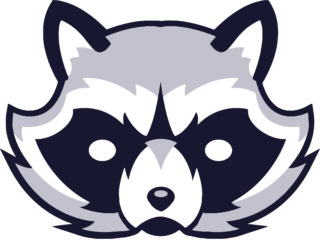 Cropped-cartoon-raccoon-png-15-07